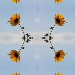 Bee's Celestial Sunflowers (Ref. 035A6099)