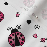 Love Bug Pink Ladybugs