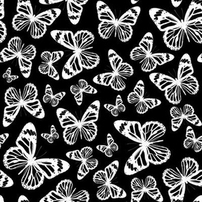 Butterflies on Black - Small 