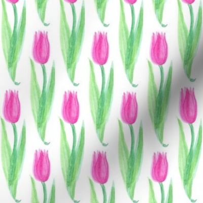 Pink Tulips