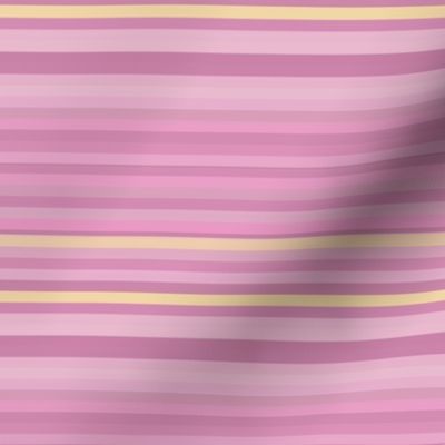 Pink and Yellow Narrow Horizontal Stripe