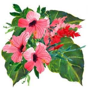 Tropical Hibiscus Bunch