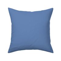 Provence Blue Solid for French Country Style 