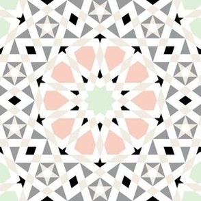 05261113 : UA5Vplus : spoonflower0341