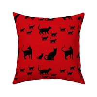 cats on red 1