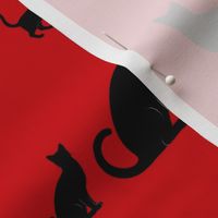 cats on red 1