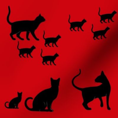 cats on red 1