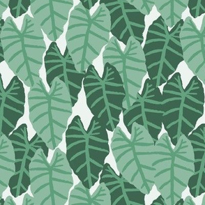 palms tropical alocasia tropical palm print summer palm springs trendy cool vibes wallpaper