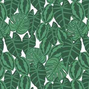 tropical palms palm print banana palm leaves leaf retro palm springs cool vibes monstera cheese plant plant lady 