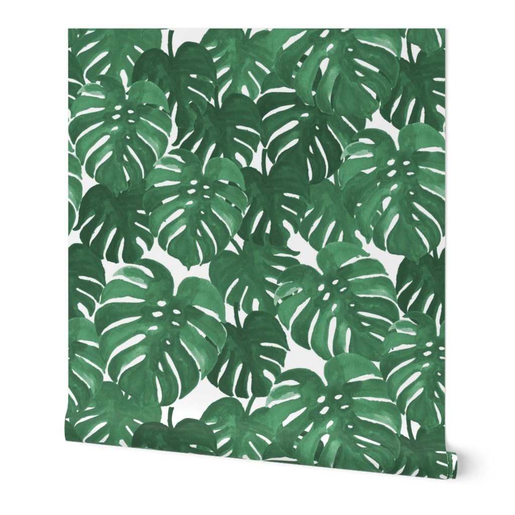 monstera cheese plant painted tropical palms botanical tropical palm springs trendy plants cactus succulents plants