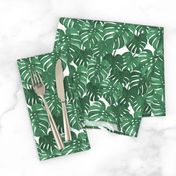 monstera cheese plant painted tropical palms botanical tropical palm springs trendy plants cactus succulents plants