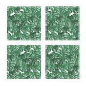 monstera cheese plant painted tropical palms botanical tropical palm springs trendy plants cactus succulents plants