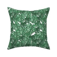 monstera cheese plant painted tropical palms botanical tropical palm springs trendy plants cactus succulents plants