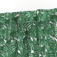 monstera cheese plant painted tropical palms botanical tropical palm springs trendy plants cactus succulents plants