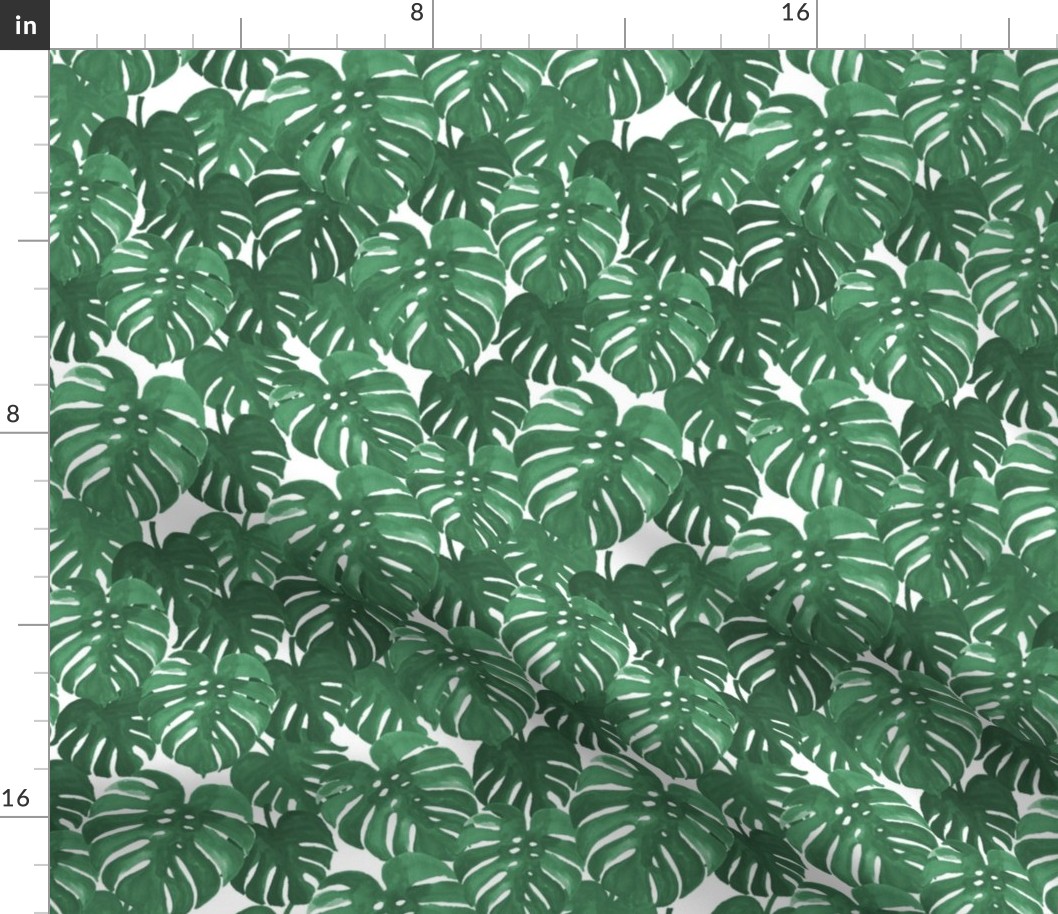 monstera cheese plant painted tropical palms botanical tropical palm springs trendy plants cactus succulents plants