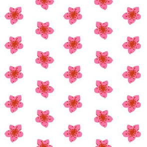 pink flowers painted florals blooms blossoms florals floral flowers pink 