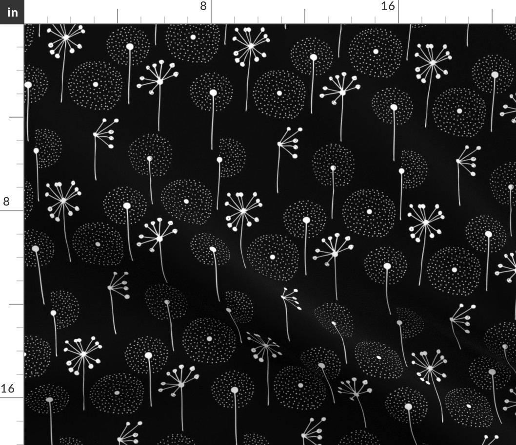 Scandinavian dandelion flower blossom garden summer fall black and white