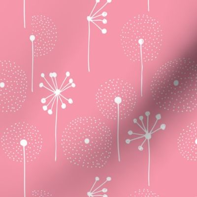 Scandinavian dandelion flower blossom garden summer fall pink