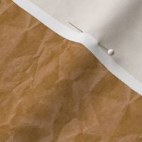 Paper Bag Texture - Small