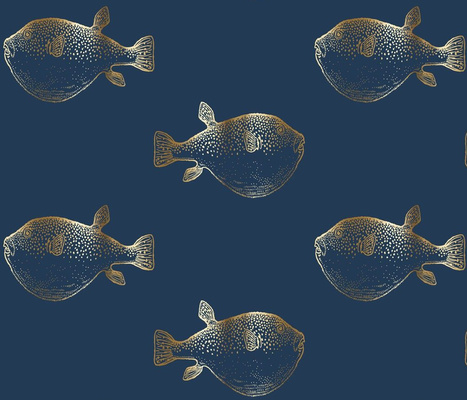 5265966-gold-puffer-fish-blowfish-on-navy-pufferfish-by-jenlats.jpg