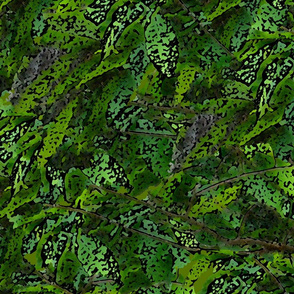 Forest Texture