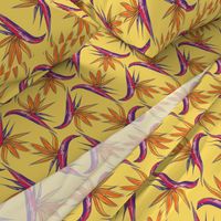 Birds of Paradise on Yellow