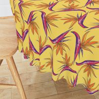 Birds of Paradise on Yellow