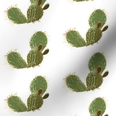 Gold green cactus 