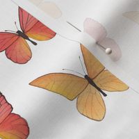 Red and Orange Watercolor Butterflies