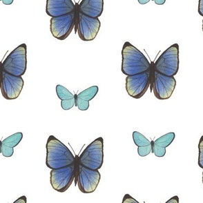 Blue Watercolor Butterflies