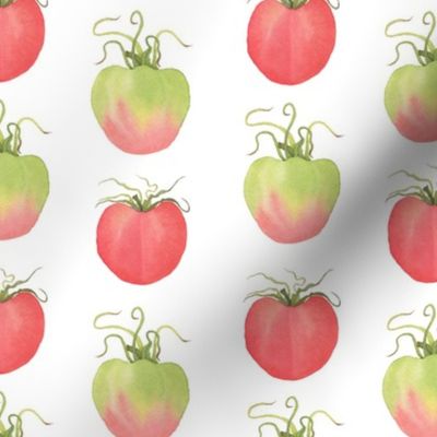 Watercolor Tomatoes