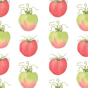 Watercolor Tomatoes