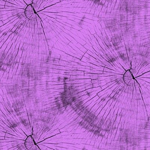 Tree Rings - Purple