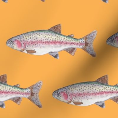 RainbowTrout