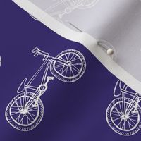 Purple BMX bikes 