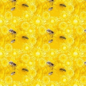 Three_bees_on dandelion medow
