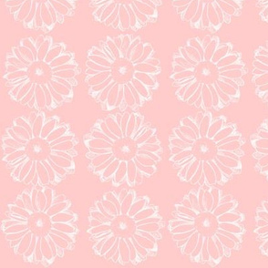 Cameo Pink Daisy