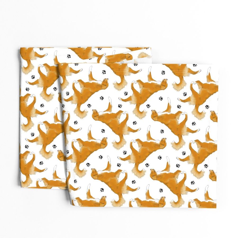 Trotting Nova Scotia duck tolling Retriever and paw prints - white