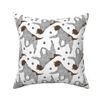 Trotting Wirehaired pointing Griffon and paw prints - white