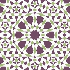 05279290 : UA5Vplus : spoonflower0142