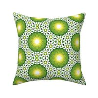 05279362 : UA5Vplus : spoonflower0314