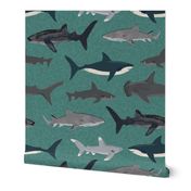 shark // sharks boys green ocean water animals 