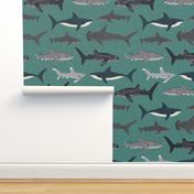 shark // sharks boys green ocean water animals 