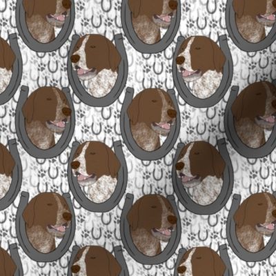 Small German shorthaired Pointer horseshoe portraits