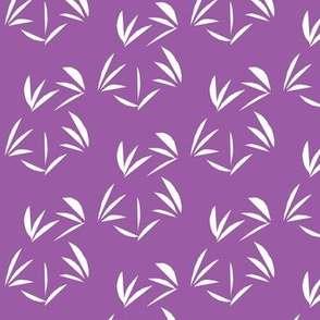 White Oriental Tussocks on Purple Boronia