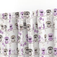 Baby owls in purple