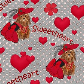 Yorkie - Tori's Red Sweetheart