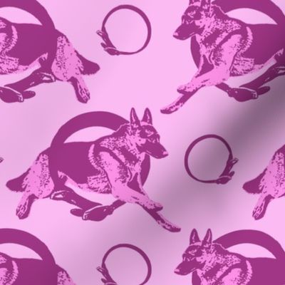 Collared leaping German Shepherd dog portraits - pink