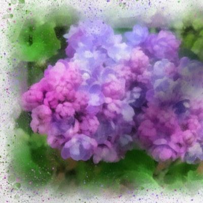 Lilac Watercolor