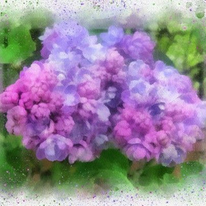 Lilac Watercolor